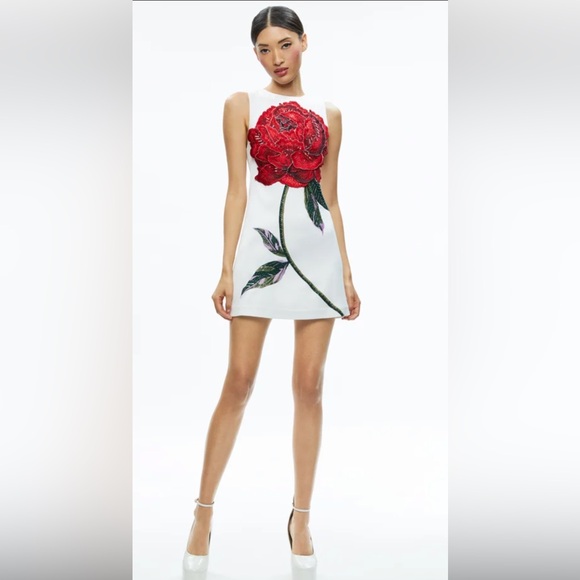 Alice + Olivia by Stacey Bendet White Mini Dress with Red Floral Design - Picture 5 of 13